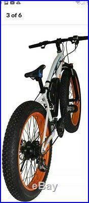 EcoRider E6-5 250w26 Fat Tyre Electric off-road style e-bike BIG BRAND QUALITY